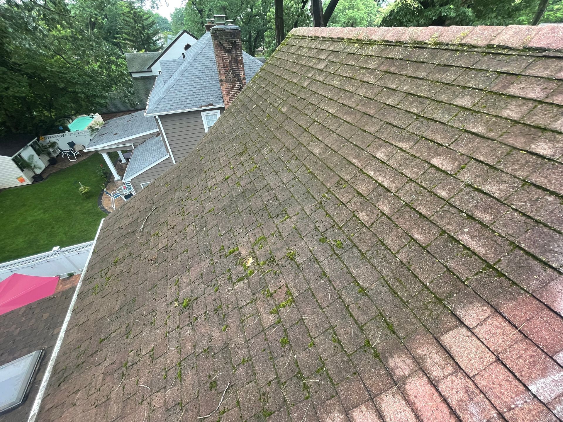 The roof of a house with a lot of moss on it