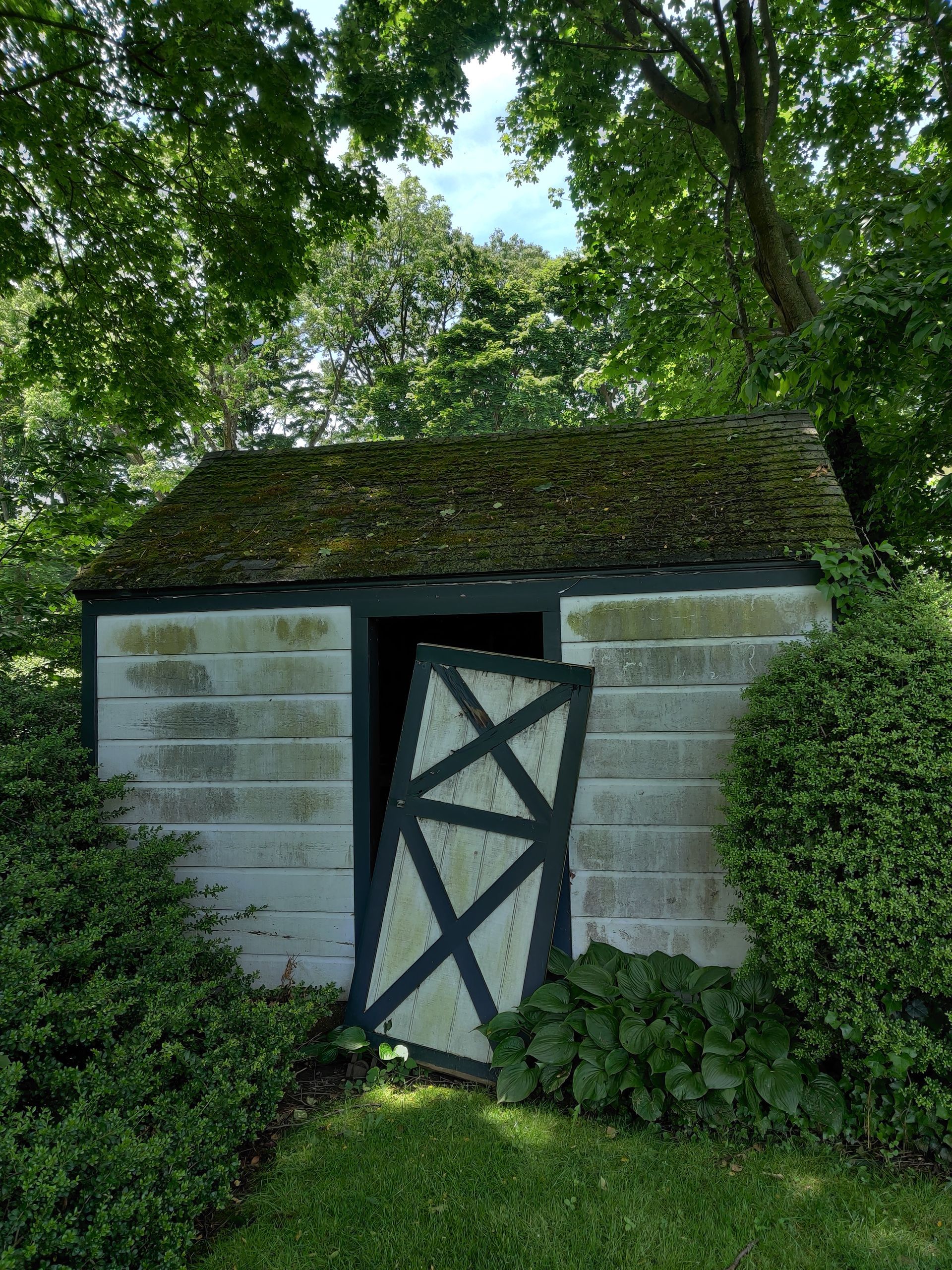 A white shed before pressure washing