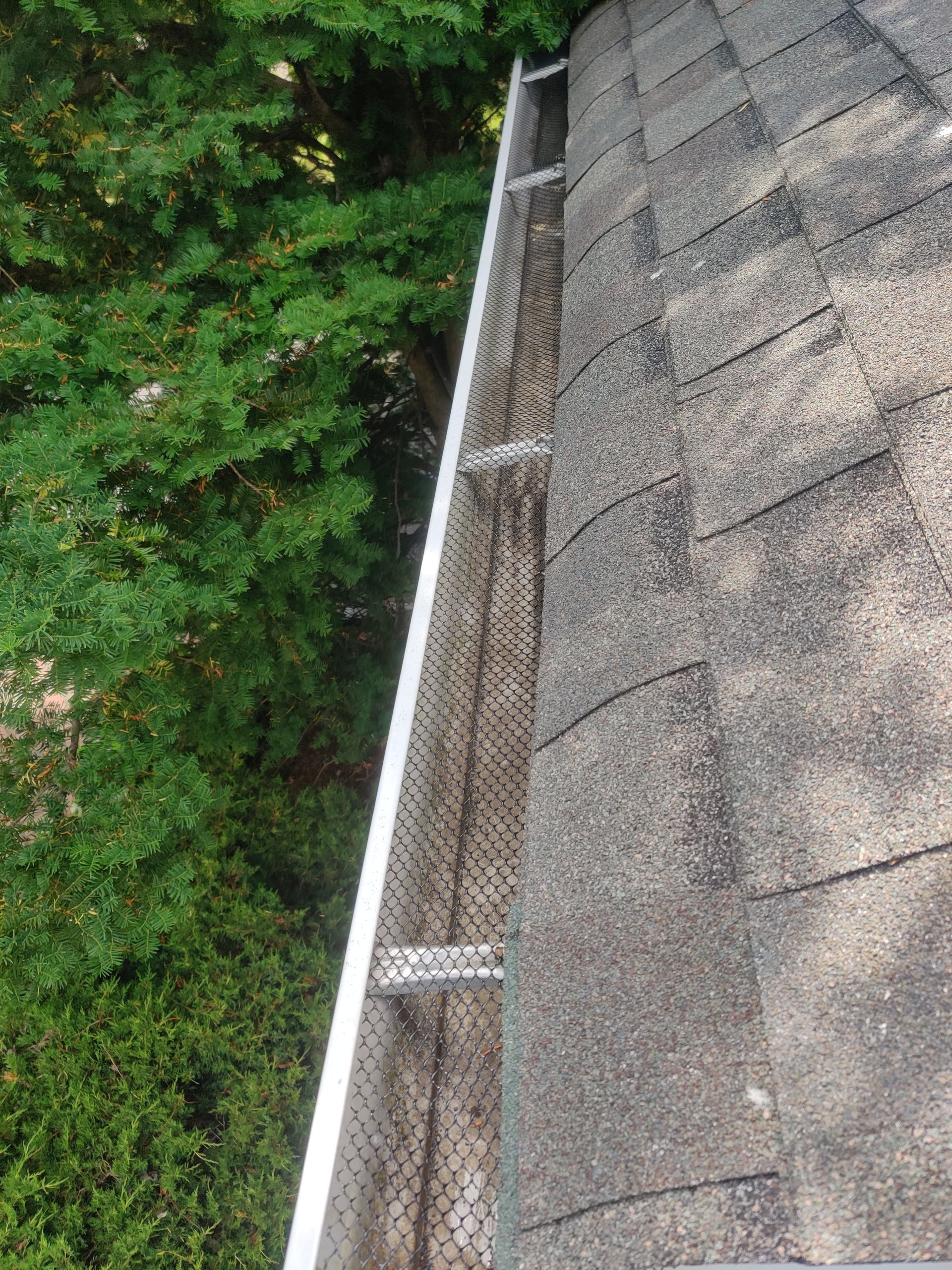 Clean gutter with a gutter guard