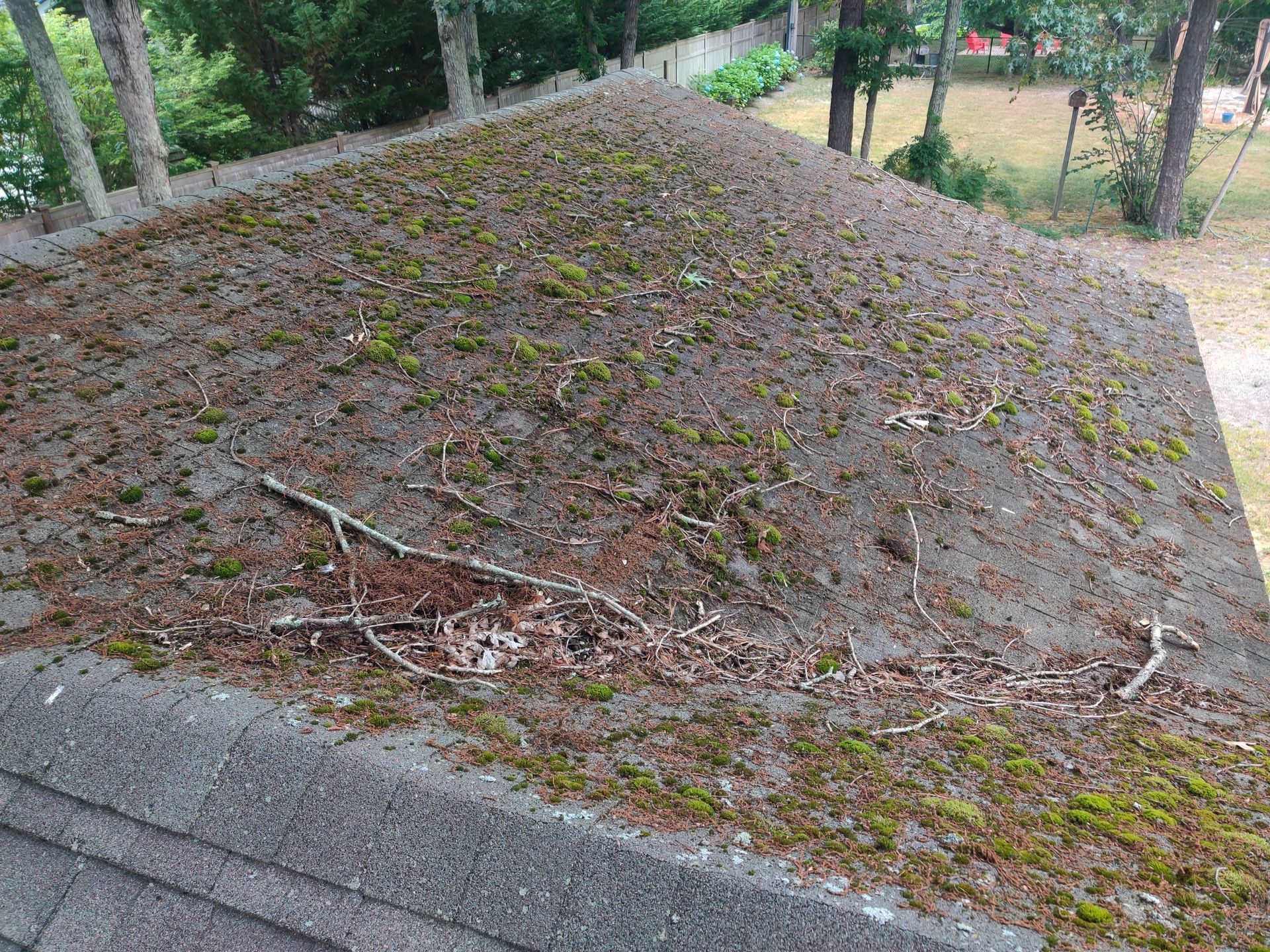 A roof with a lot of moss growing on it