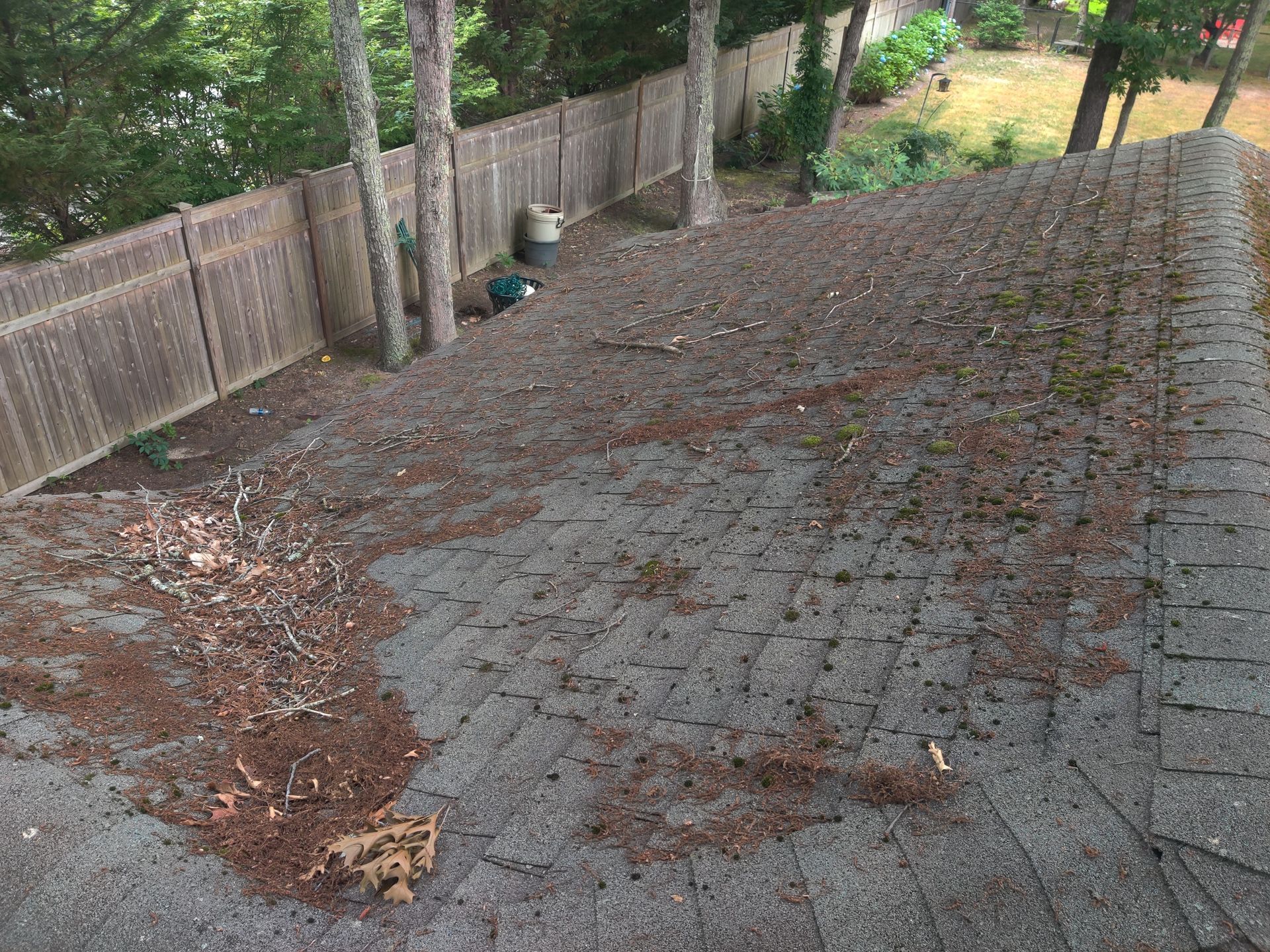 A roof with a lot of leaves on it