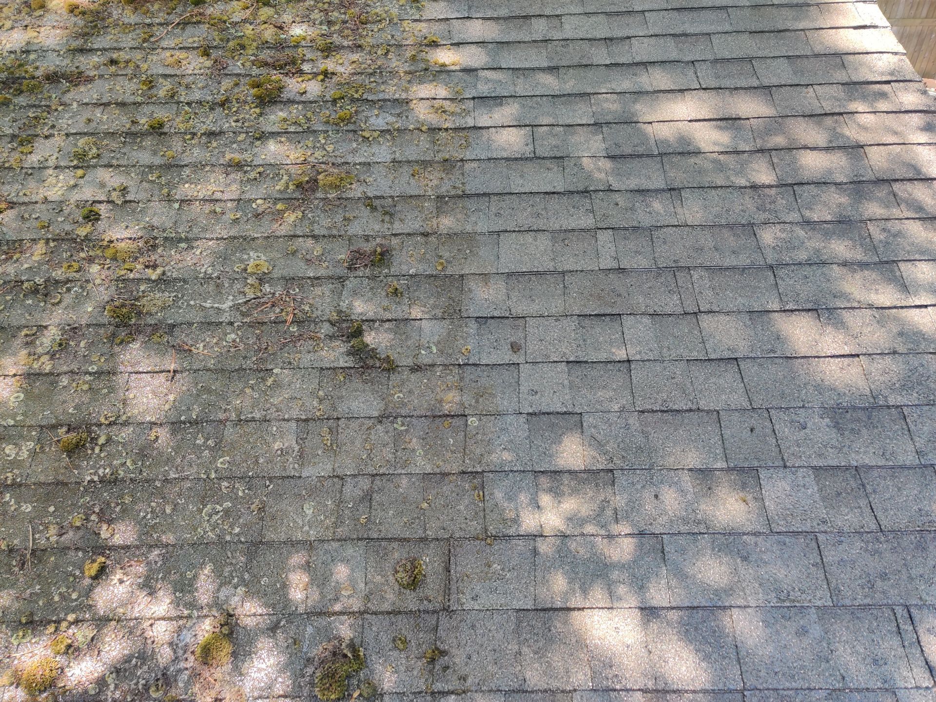 Expert roof soft washing before and after