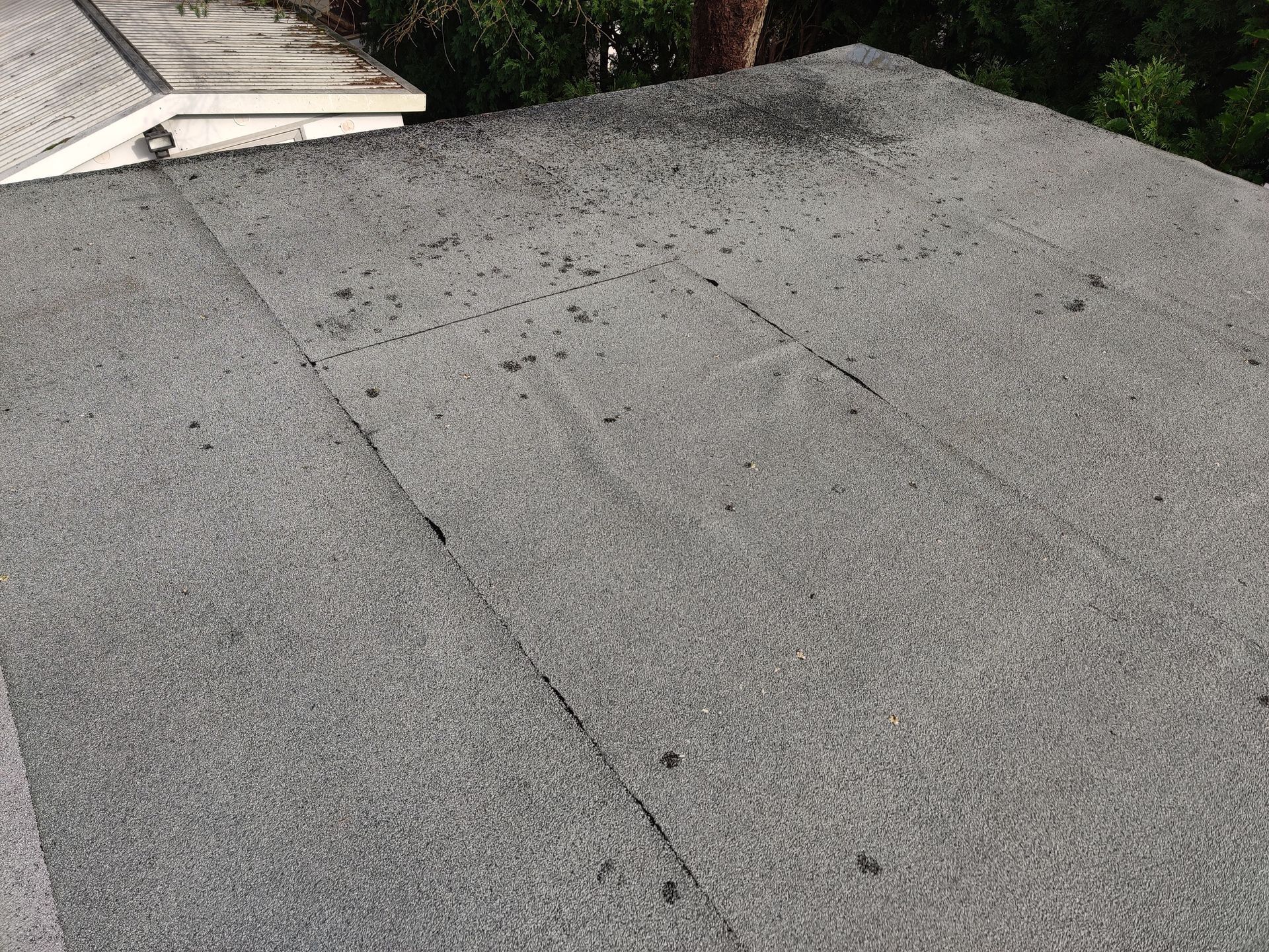 A roof after soft wash