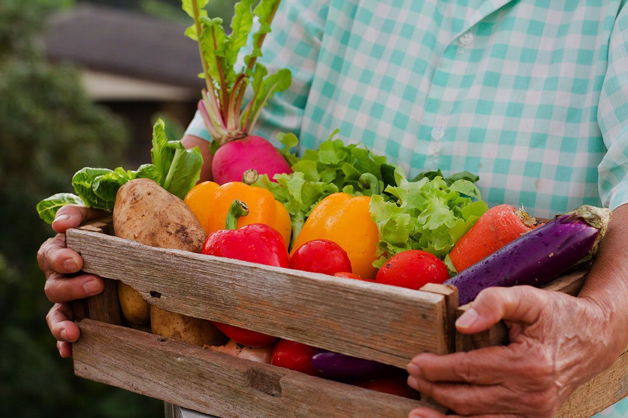 Healthy Eating = Healthy Living: Nutritional Goals for Seniors