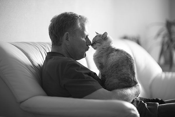 Seniors May Benefit from Adopting a Cat