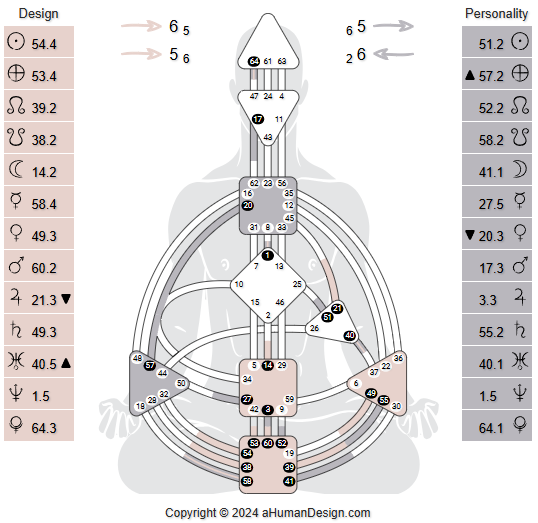 Human Design Chart Example 2