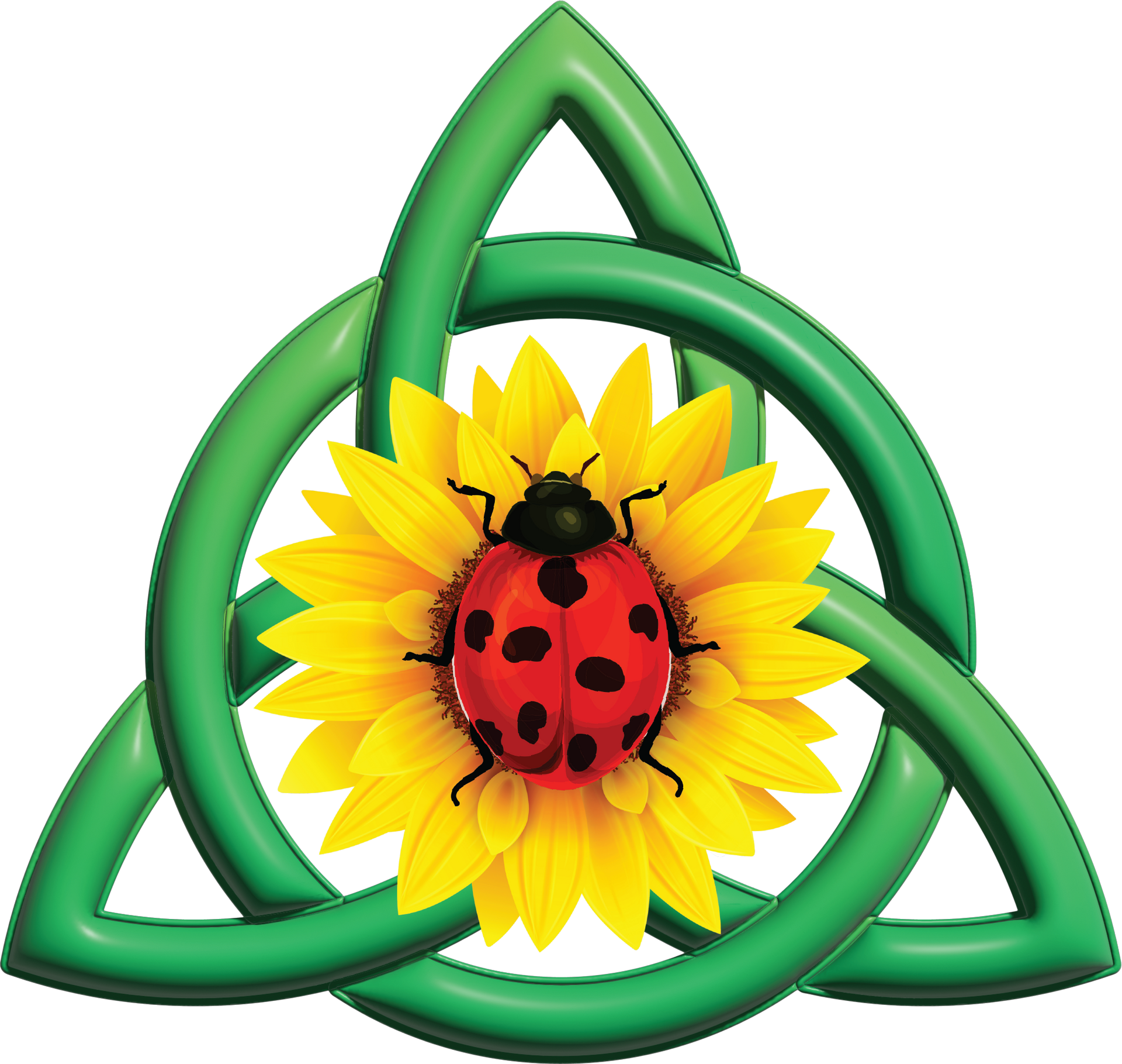 ladybug massaah'g engineer logo