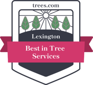 A badge that says lexington best in tree services
