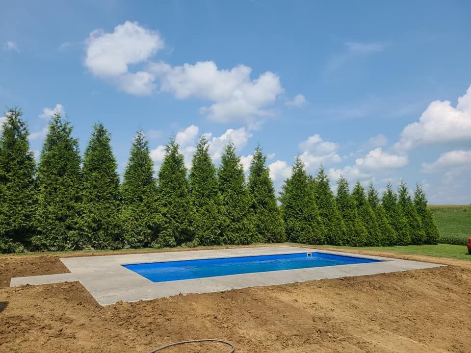 Rectangular pool with blue cover, surrounded by concrete, in a yard with a row of green trees under a blue sky.