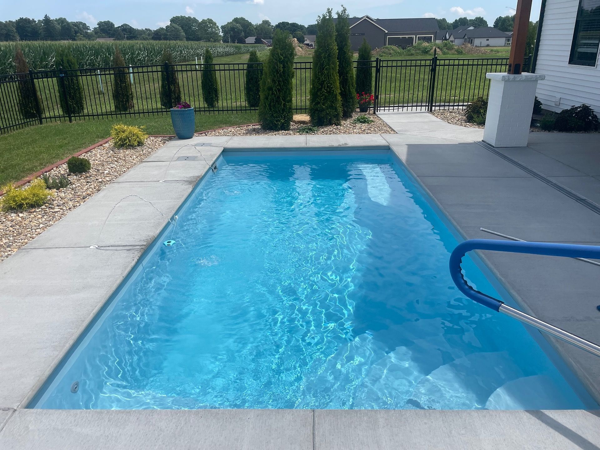 Rectangular blue swimming pool in a backyard with concrete border, landscaping, and a black fence.