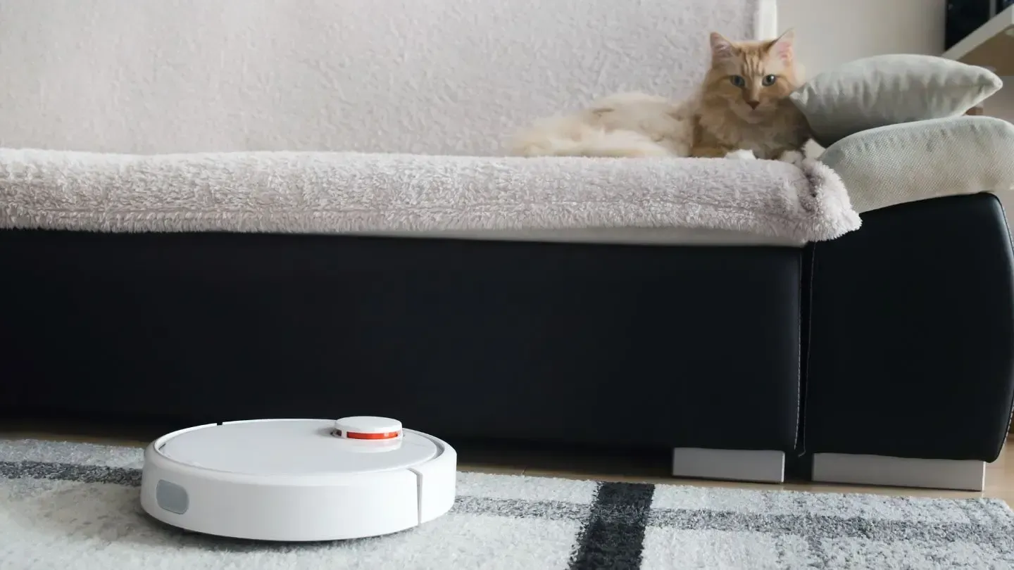A cat is laying on a couch next to a robot vacuum cleaner.
