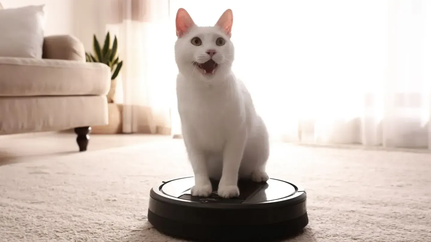 A white cat is sitting on top of a robotic vacuum cleaner.
