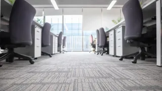 A row of white chairs and a plant in a waiting room.