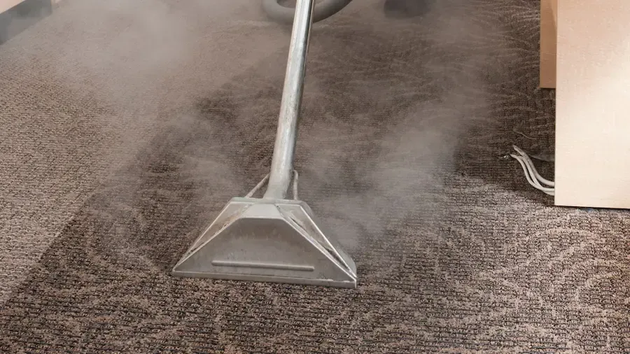 A person is using a vacuum cleaner to clean a carpet.