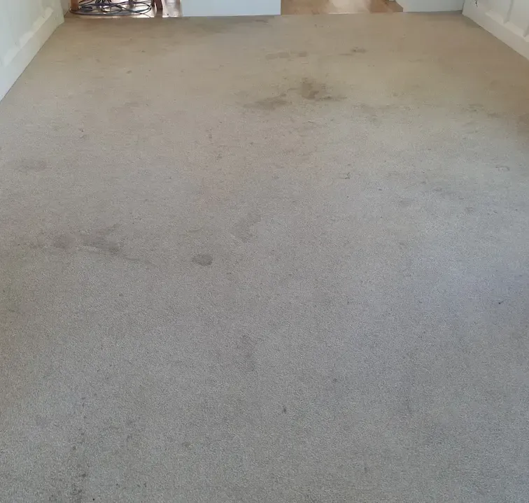 A carpeted floor in a living room with a door in the background.