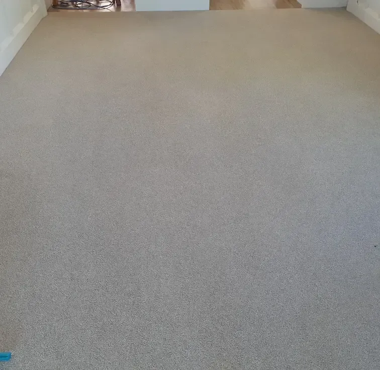 A carpeted floor in a living room with a blue marker on it.