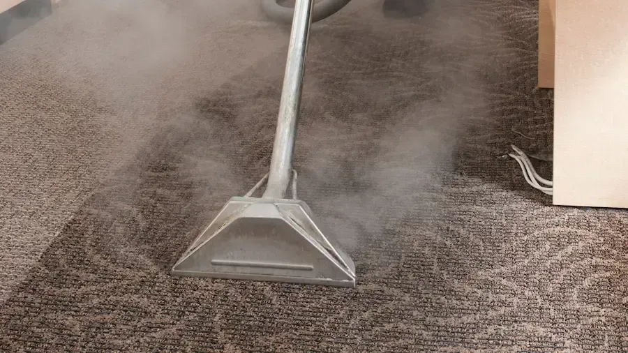 Carpet being steam cleaned with a machine, releasing vapor.