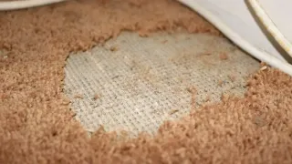 A tan carpet with a large patch of missing fibers, exposing the underlying white backing.