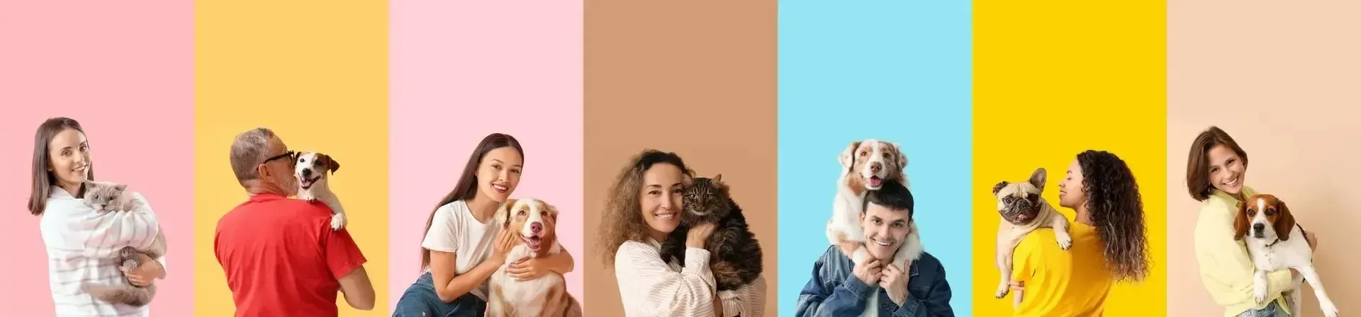 People with dogs pose in front of colorful backgrounds.