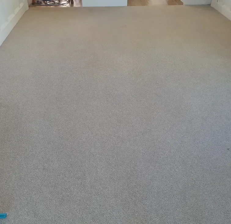 Light gray carpet covers a room floor, neutral setting.