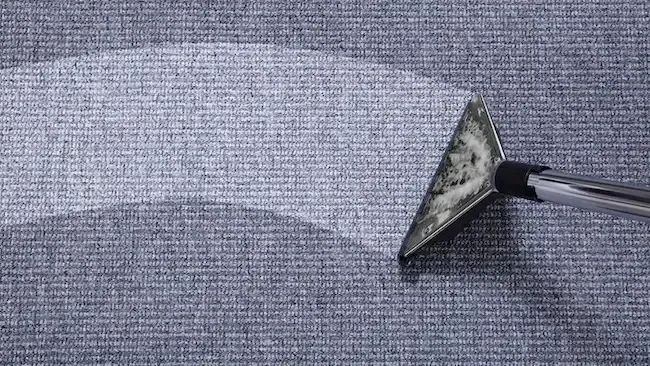 A person is using a vacuum cleaner to clean a carpet.