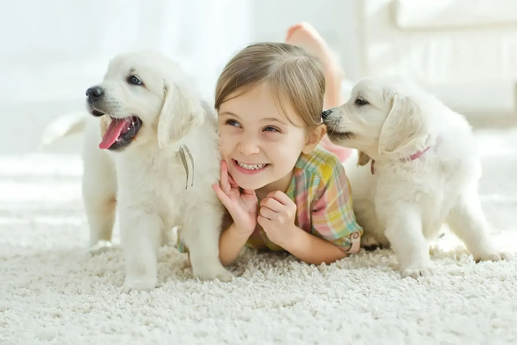 A little girl is laying on the floor with two puppies.