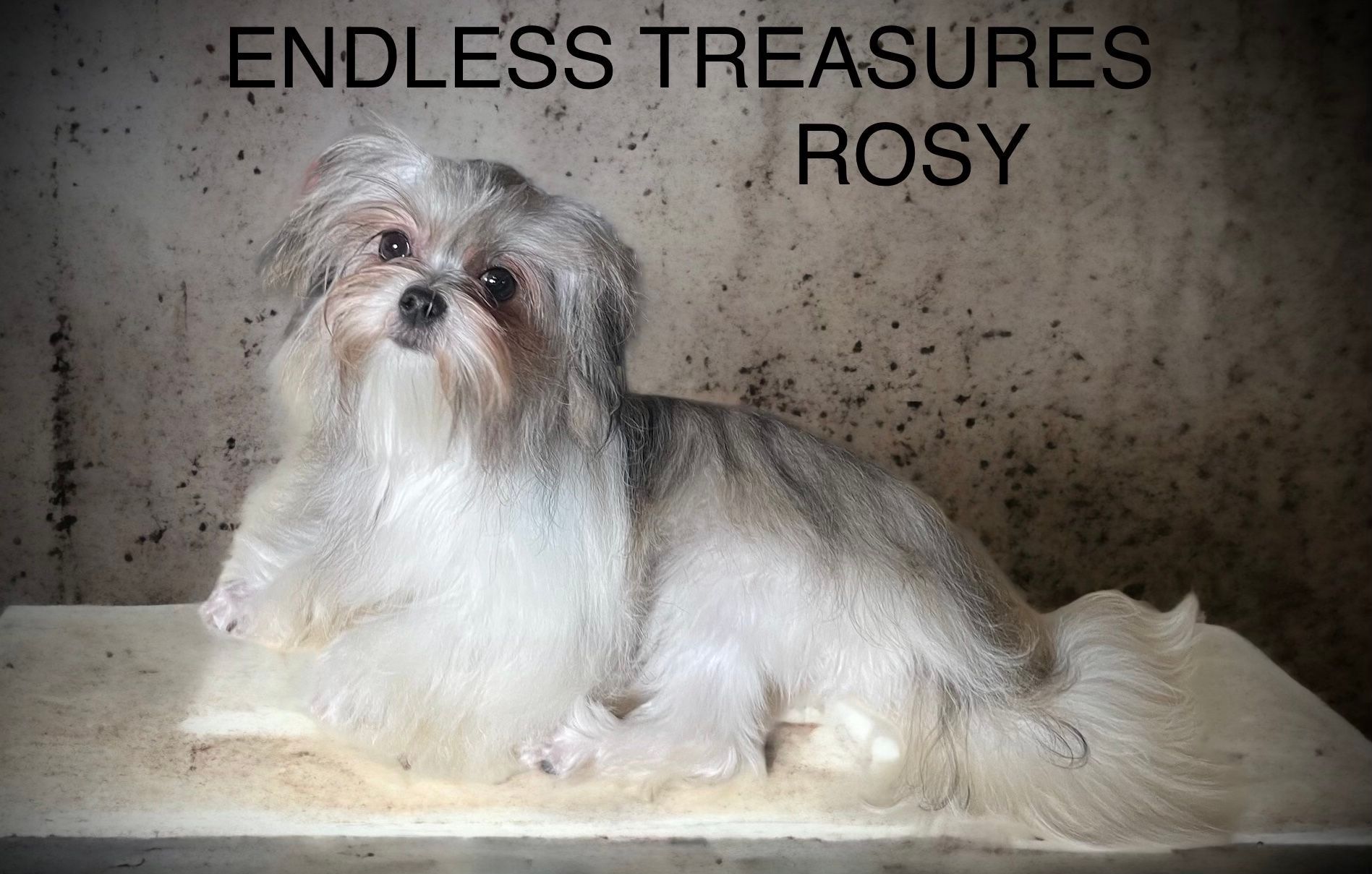 Rosy of Rare Gem