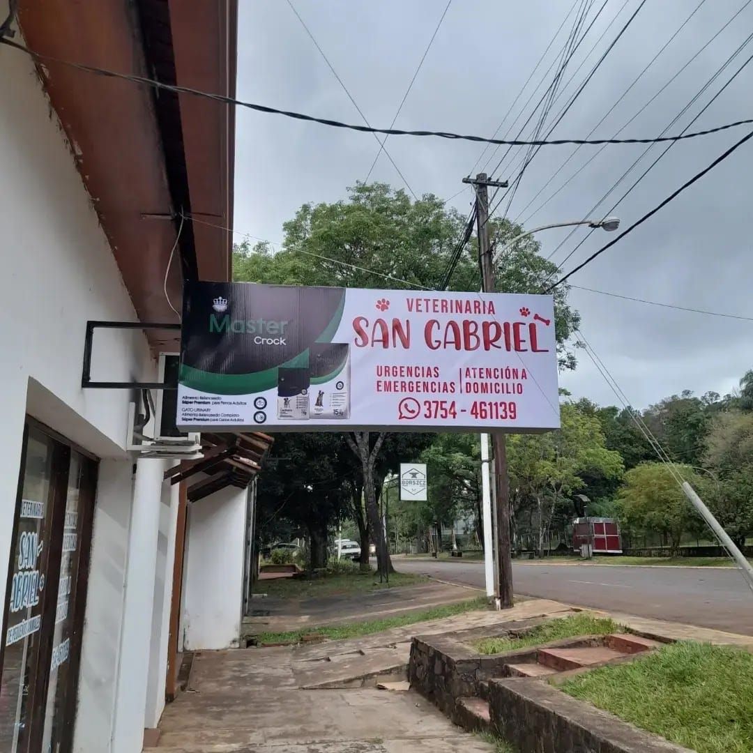 clínica veterinaria