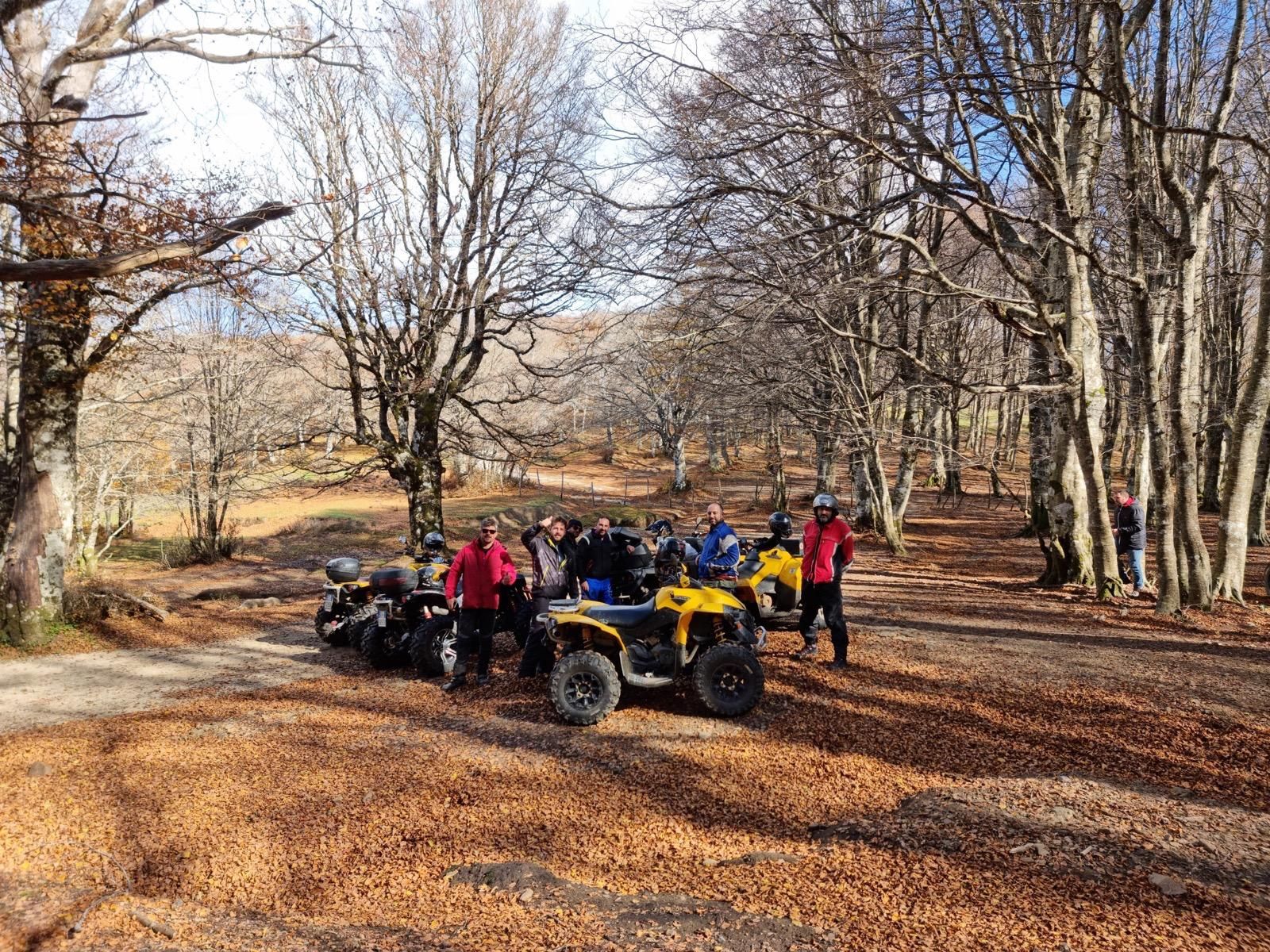 Gruppo di persone con quad in una radura nella foresta in una giornata di sole.