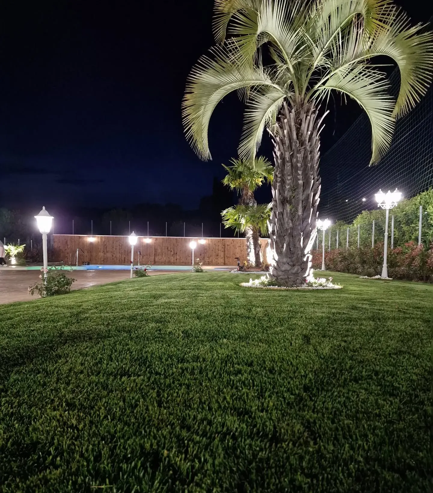 Scena notturna all'aperto con erba verde lussureggiante, palme illuminate e lampioni decorativi.