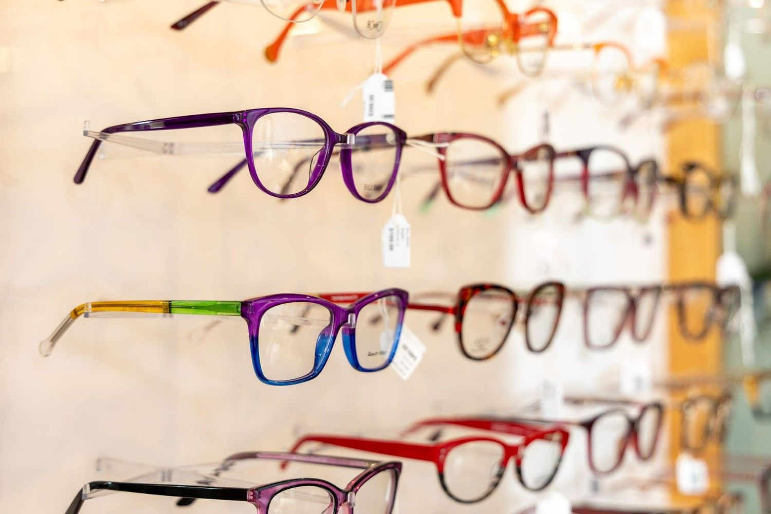 Shelf of prescription fashion glasses — Optometrist in Gosford, NSW
