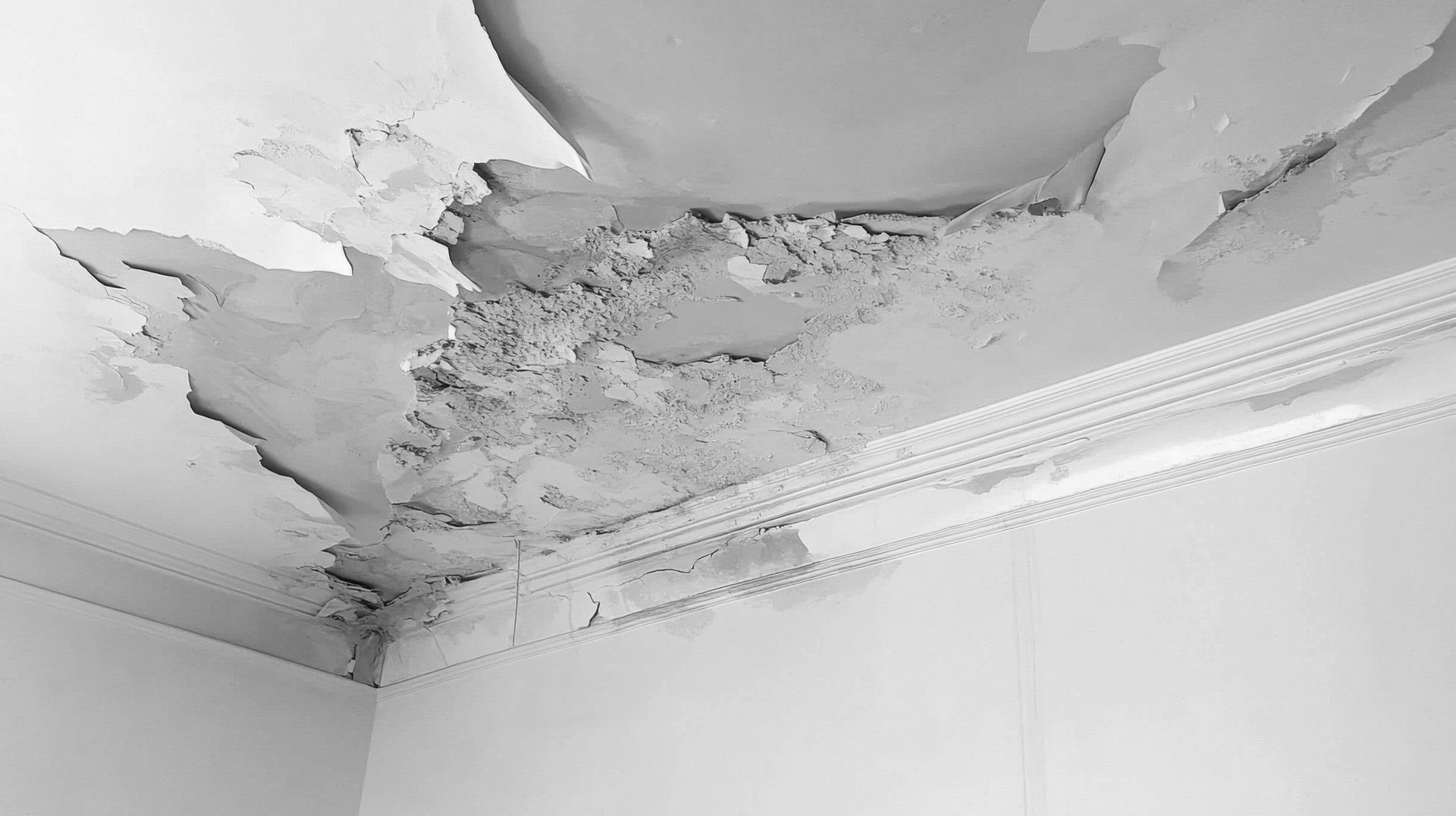 Severe water damage on a white ceiling, showing peeling paint and crumbling plaster near the decorative molding.
