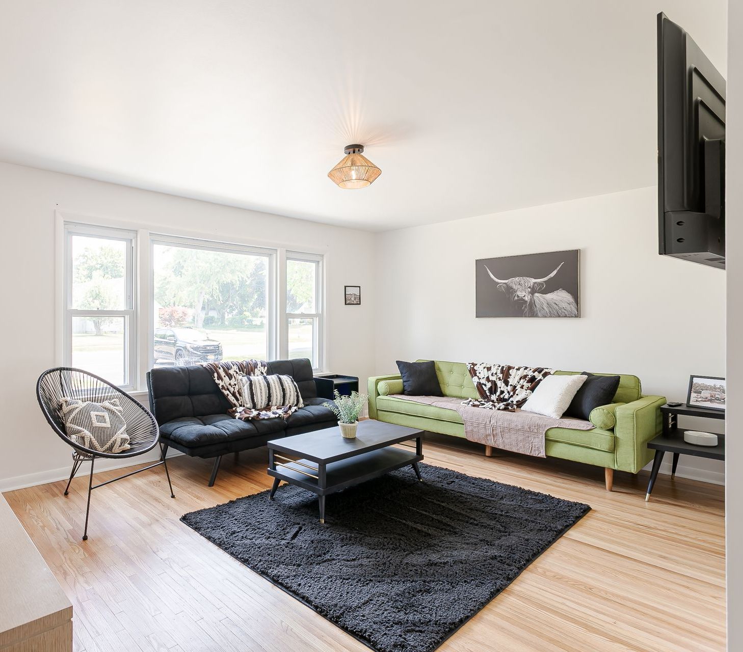 A living room with a green couch and a black rug
