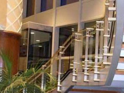 A staircase in a building with a glass railing and a plant in the foreground.