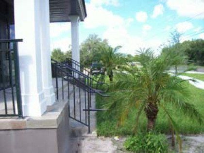 There is a palm tree in the foreground and a staircase in the background.