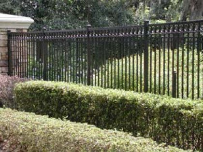 A black metal fence surrounds a lush green yard.