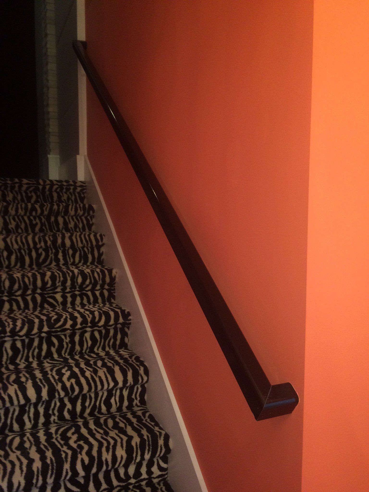 A staircase with a zebra print carpet and a hand rail