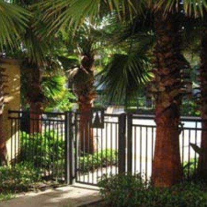 A fence with palm trees in front of it