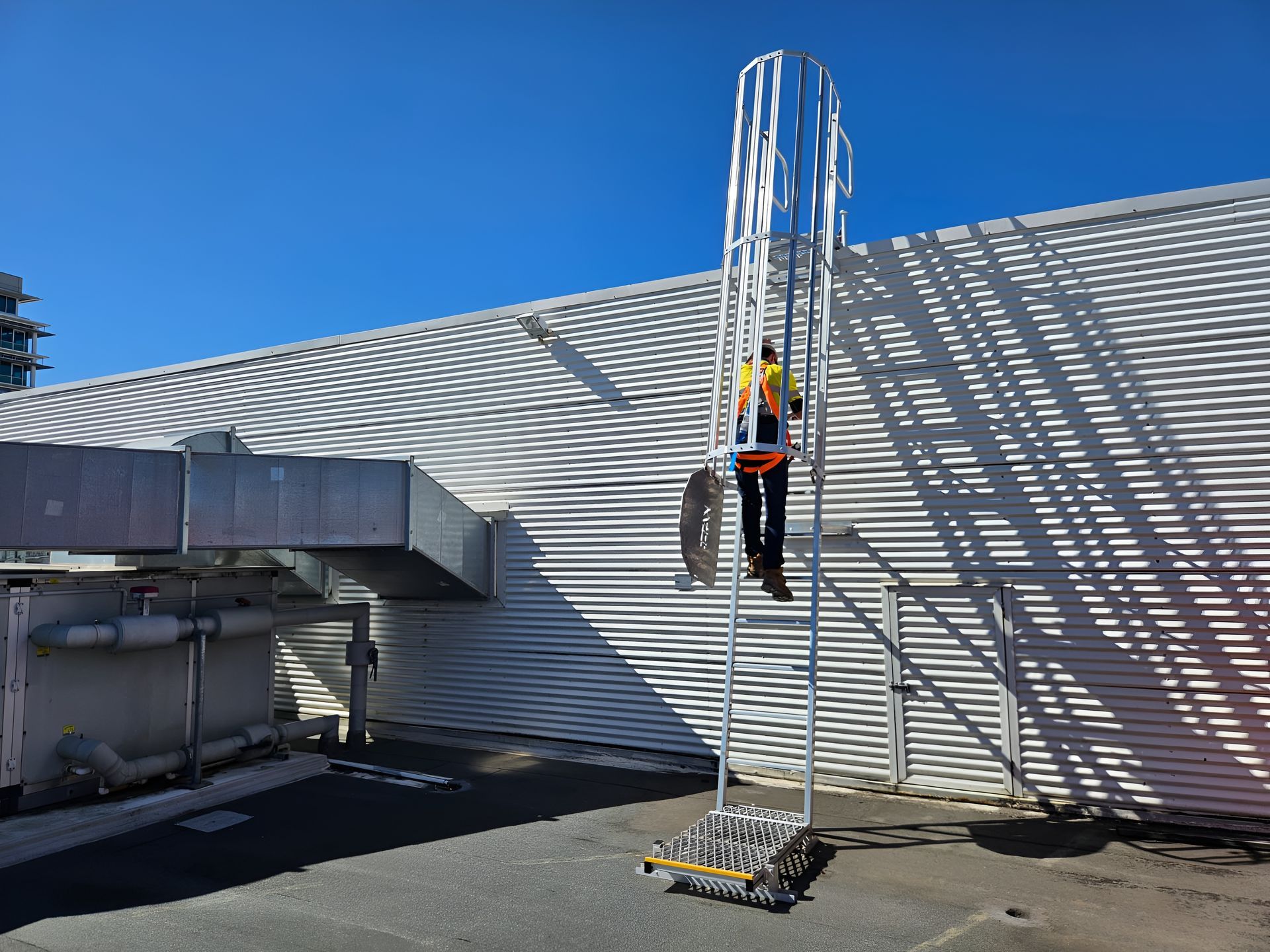 Person Climbing Tall Ladder With Safety Cage — Australian Asset Compliance in Gladstone, QLD