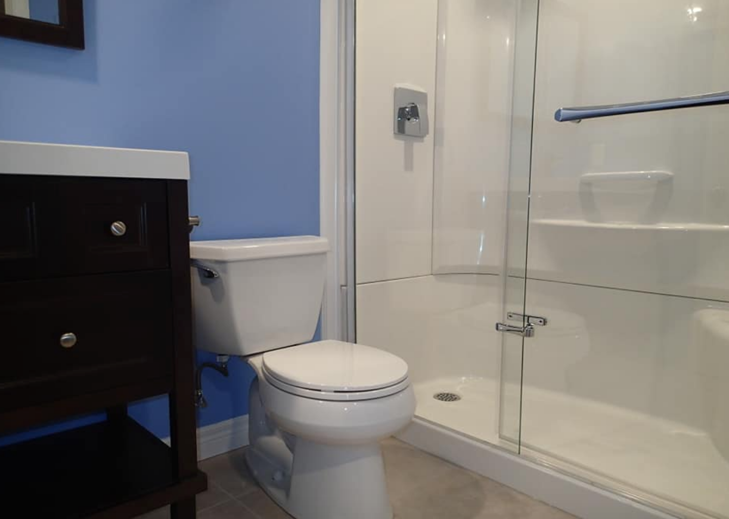 Bathroom with a white toilet, glass shower, blue walls, and dark wood vanity.