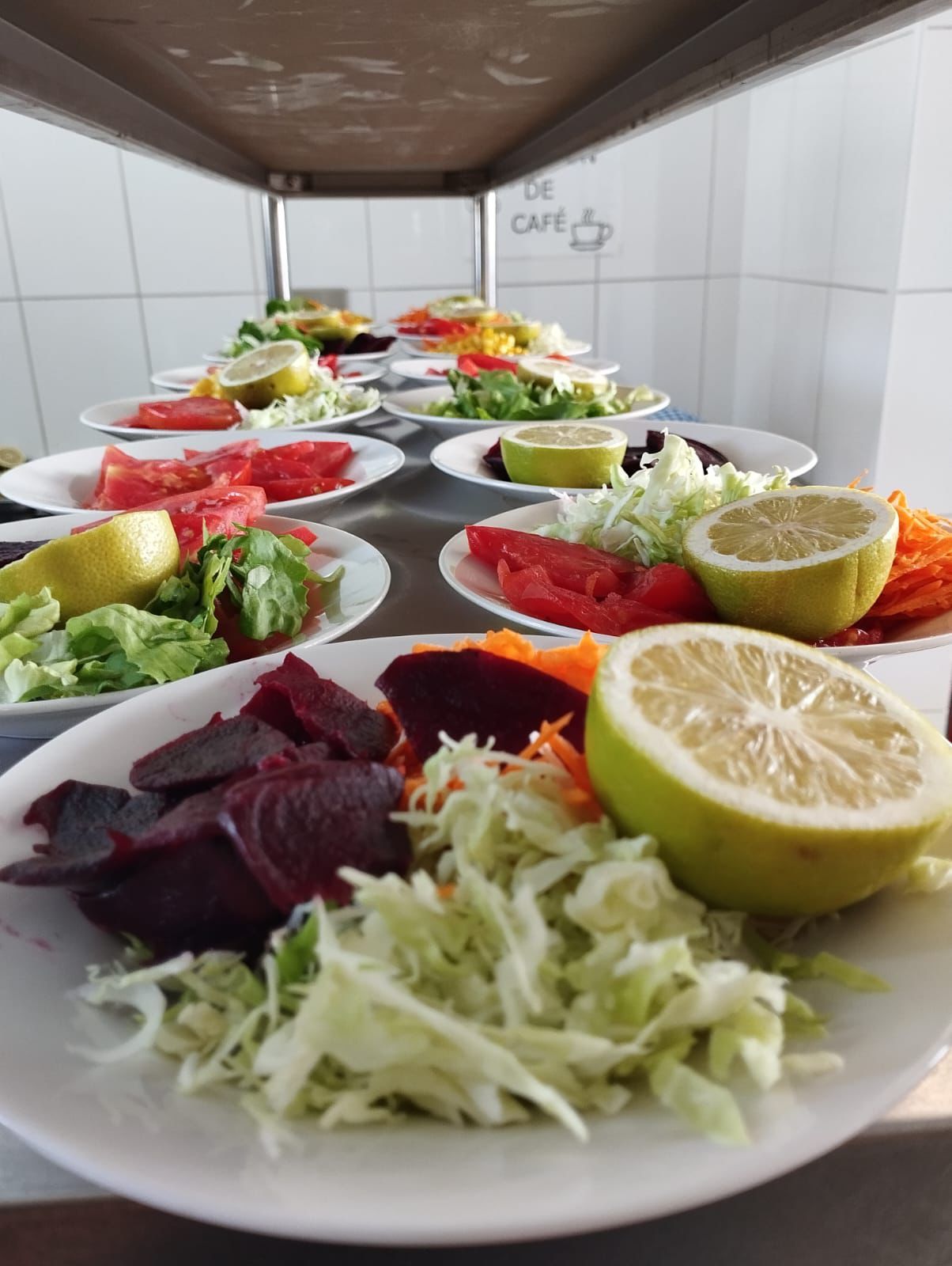 Platos de ensalada fresca, que incluye remolacha, repollo, zanahorias, tomates y rodajas de limón