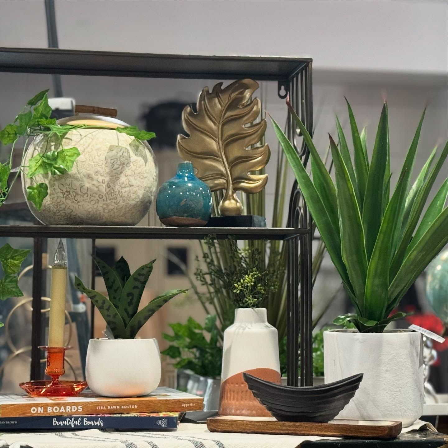 A shelf filled with potted plants and a book titled on boards