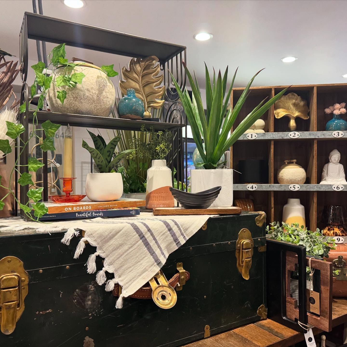 A room filled with lots of vases and plants