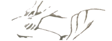 Logo for 