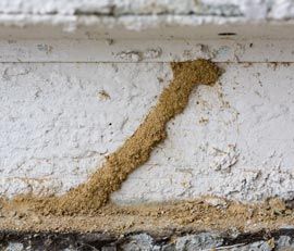 Subterranean termite deals treatment