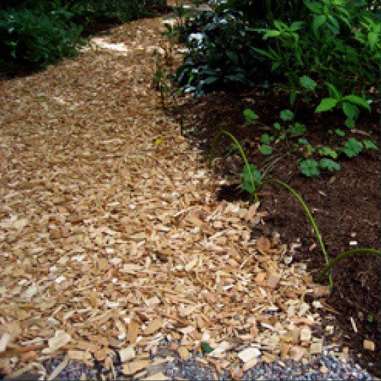 mulch