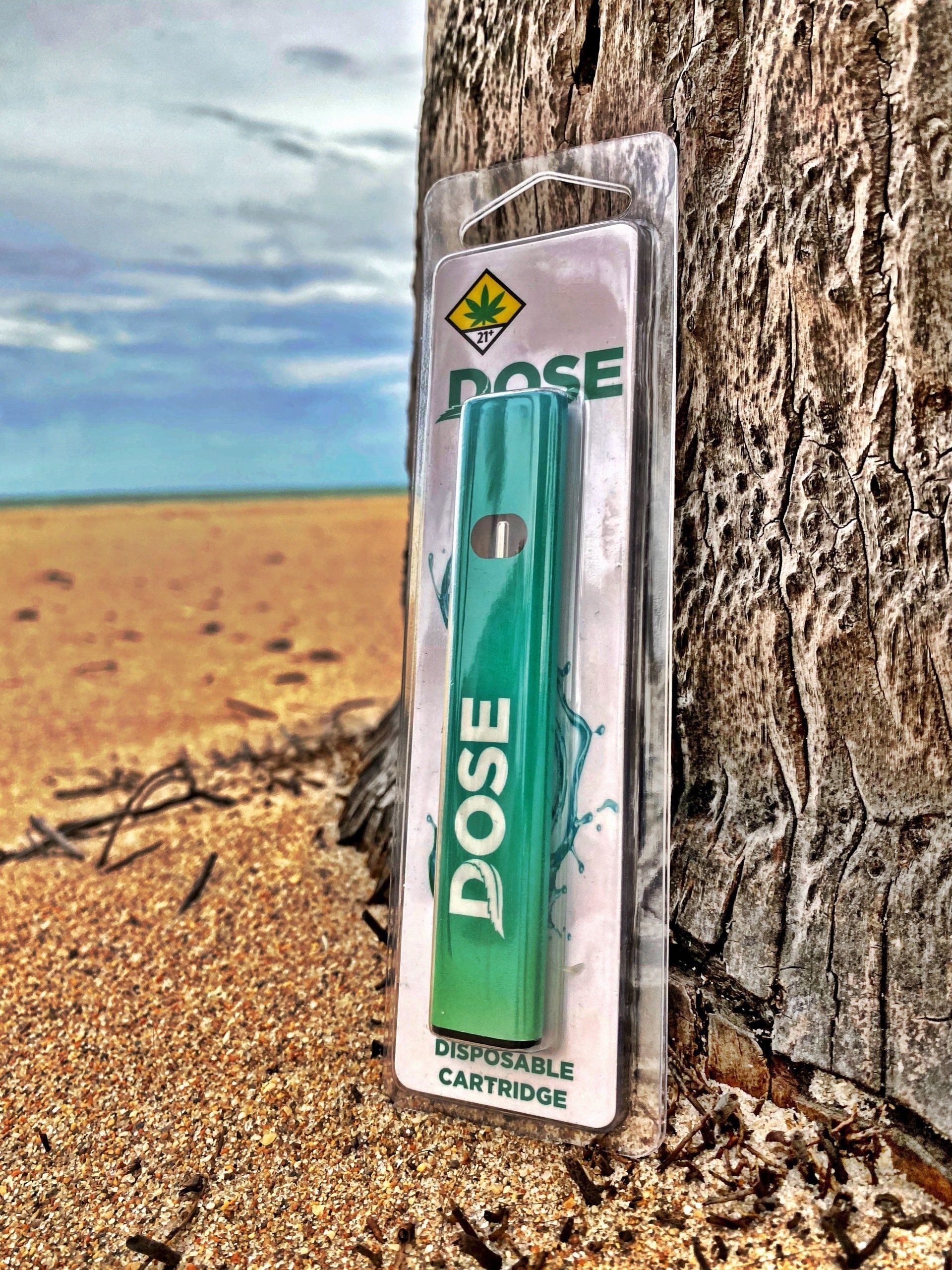 A dose device is sitting next to a tree on the beach.