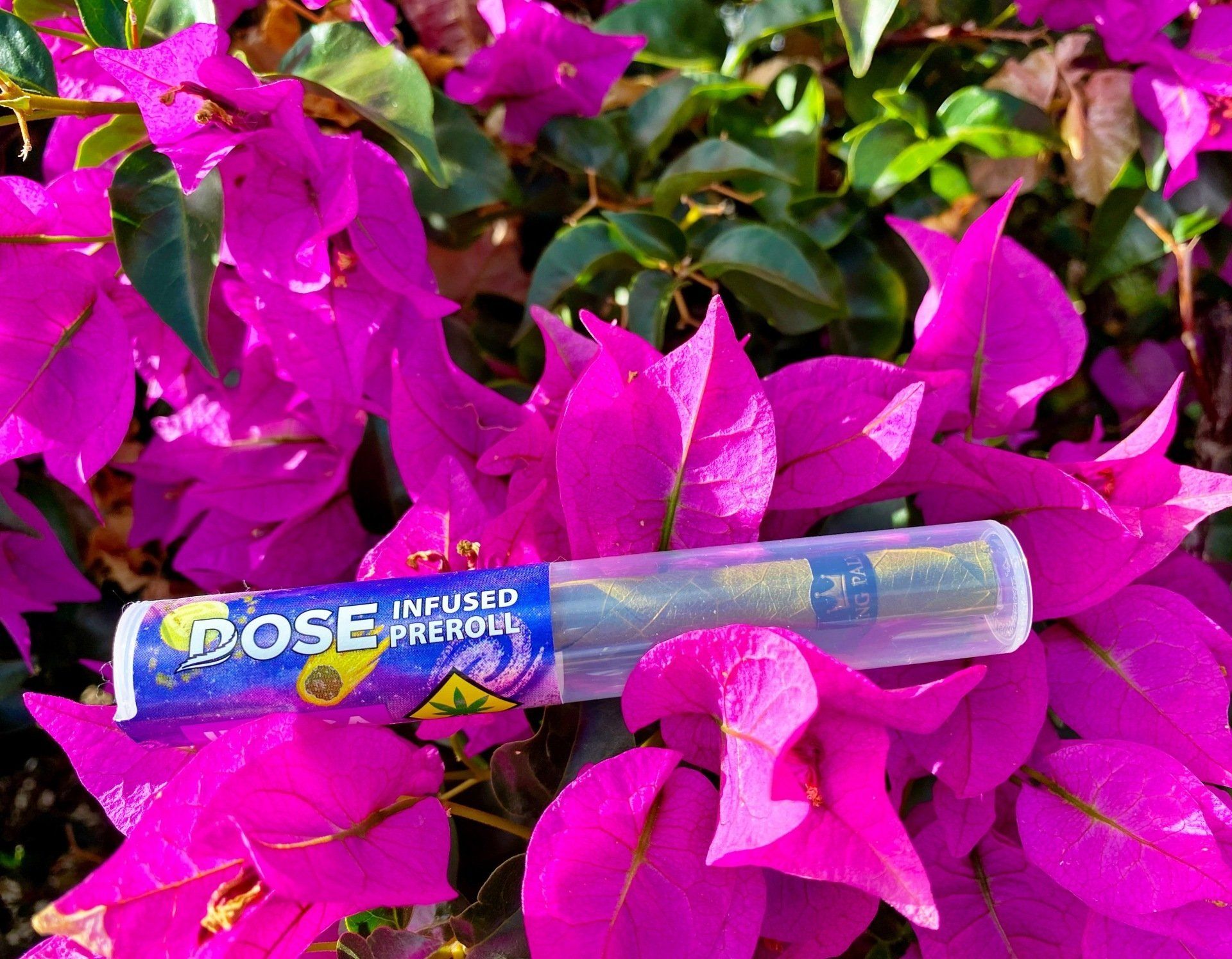 A close up of a dose pre roll sitting on top of purple flowers.