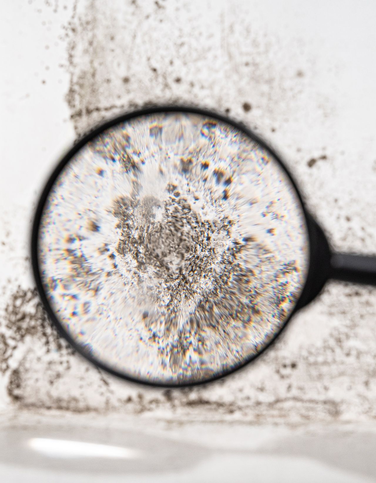 Mold In Wall – Jacksonville, FL – Affordable Mold Removal & Remodeling Mold In Wall – Jacksonville, FL – Affordable Mold Removal & Remodeling