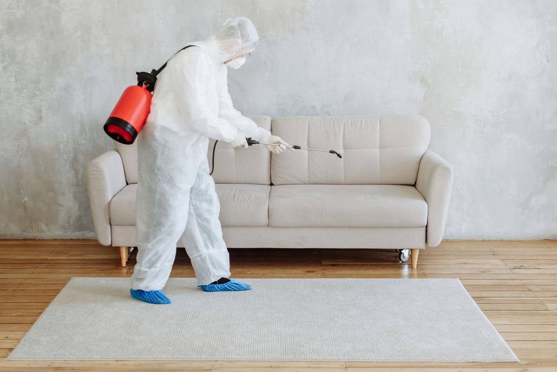 Professional pest control spraying disinfectant near beige sofa in modern living room.